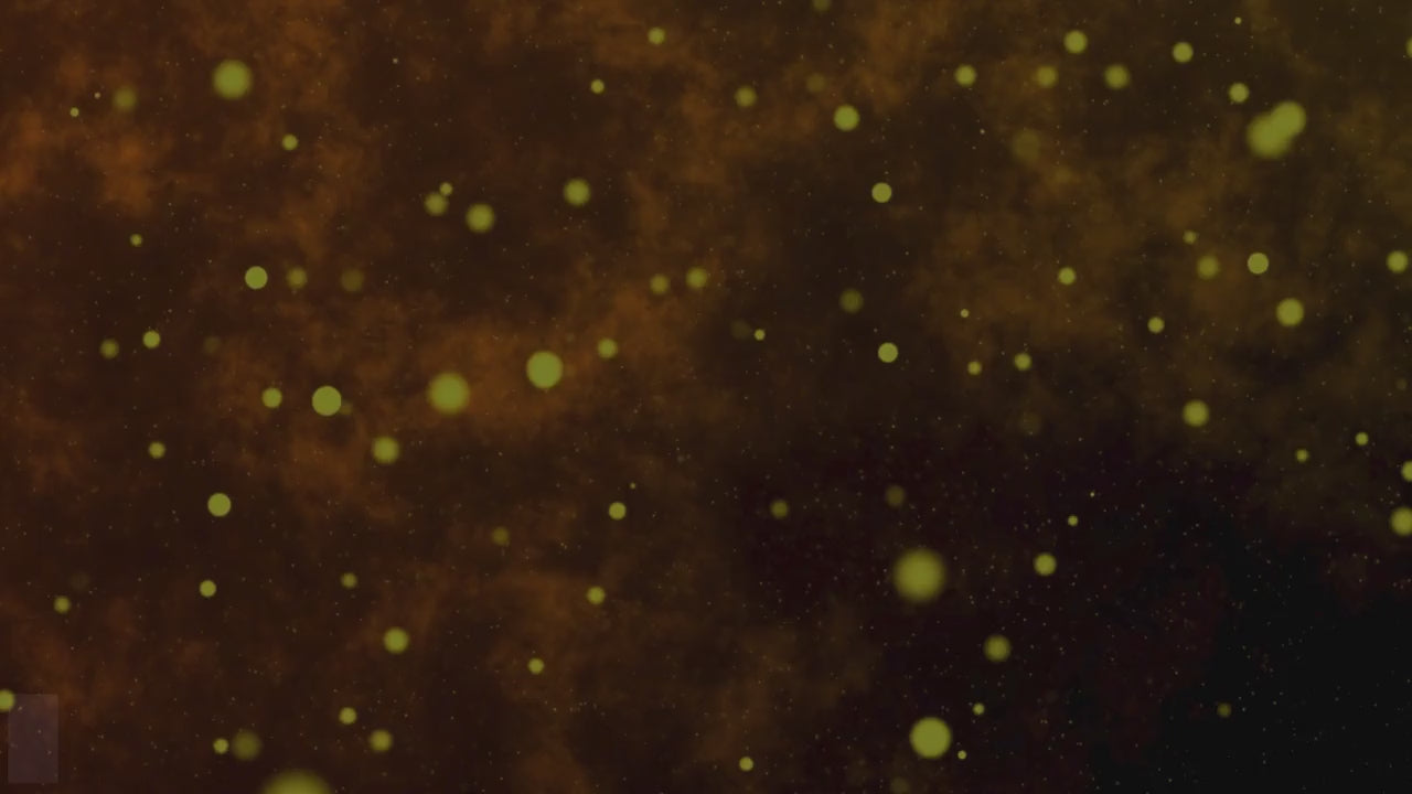 shopgracias-app-videos